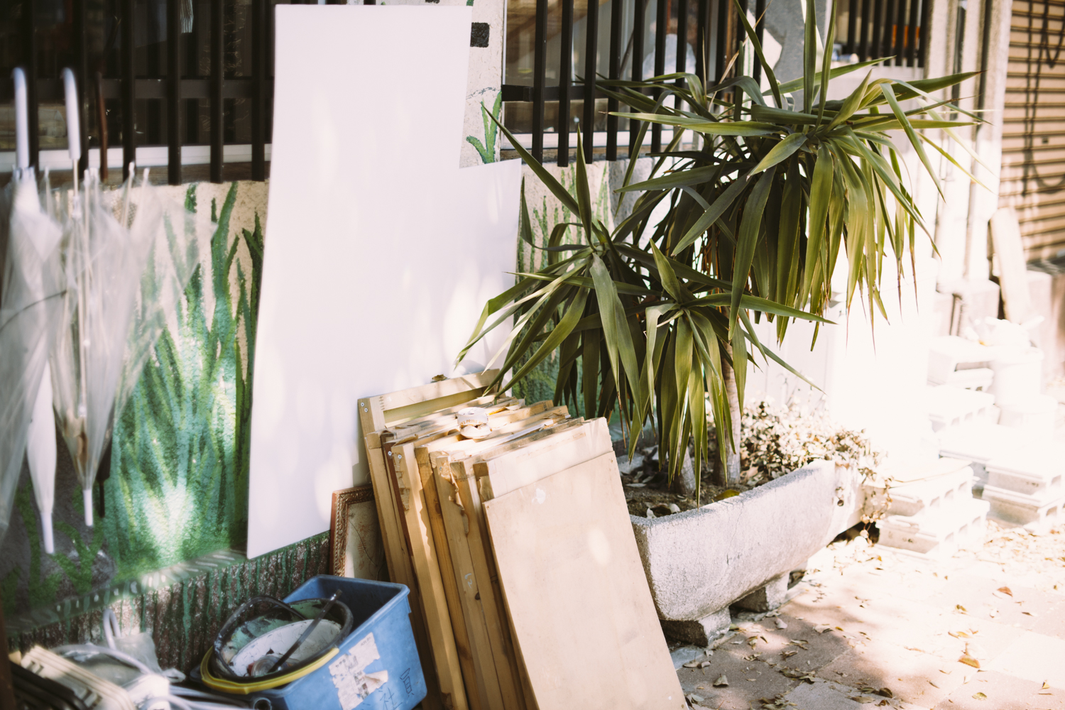 business as usual photography