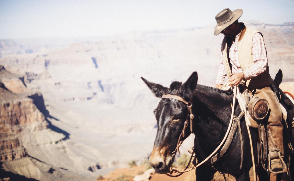 desert session photography