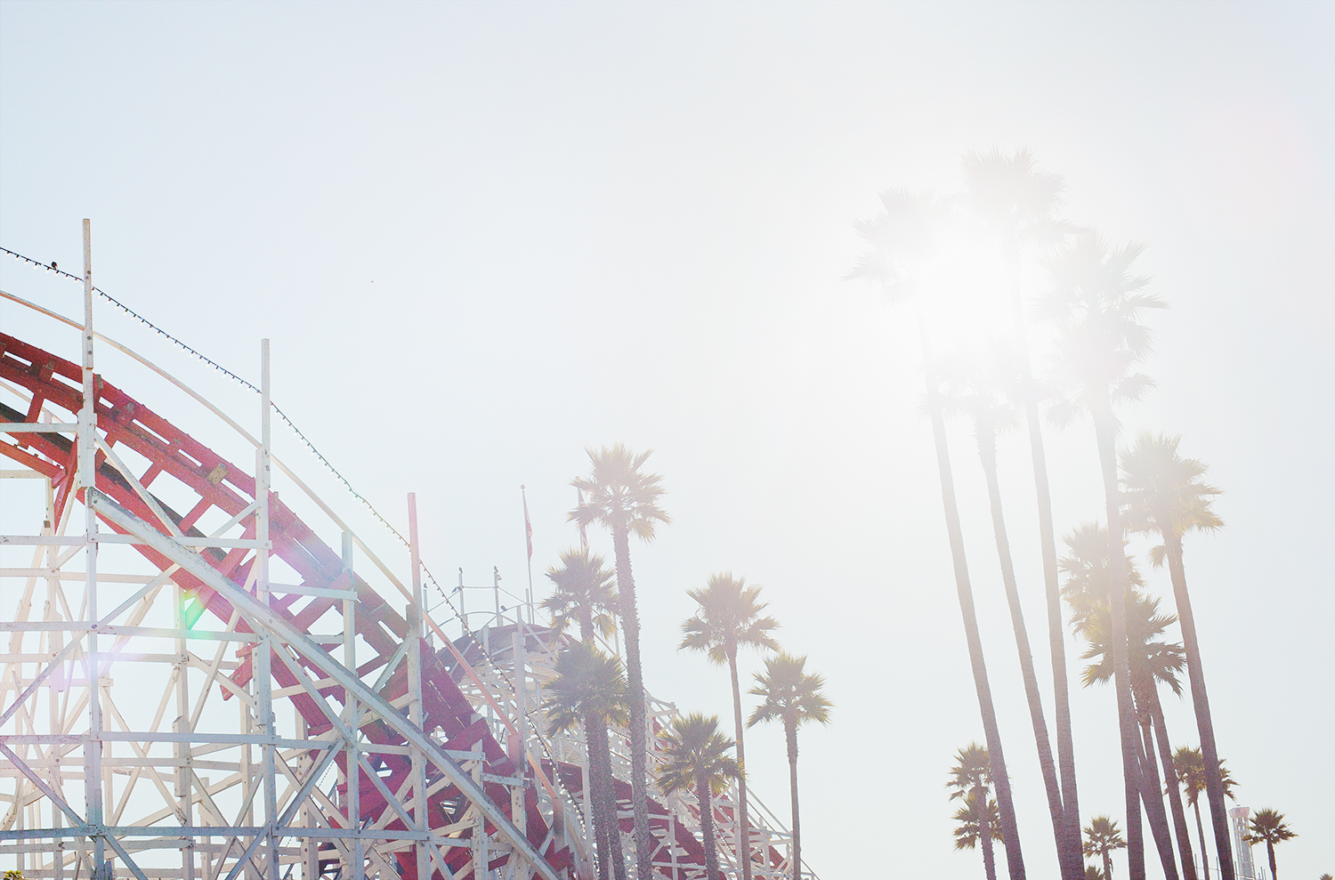 lonely hustle photography