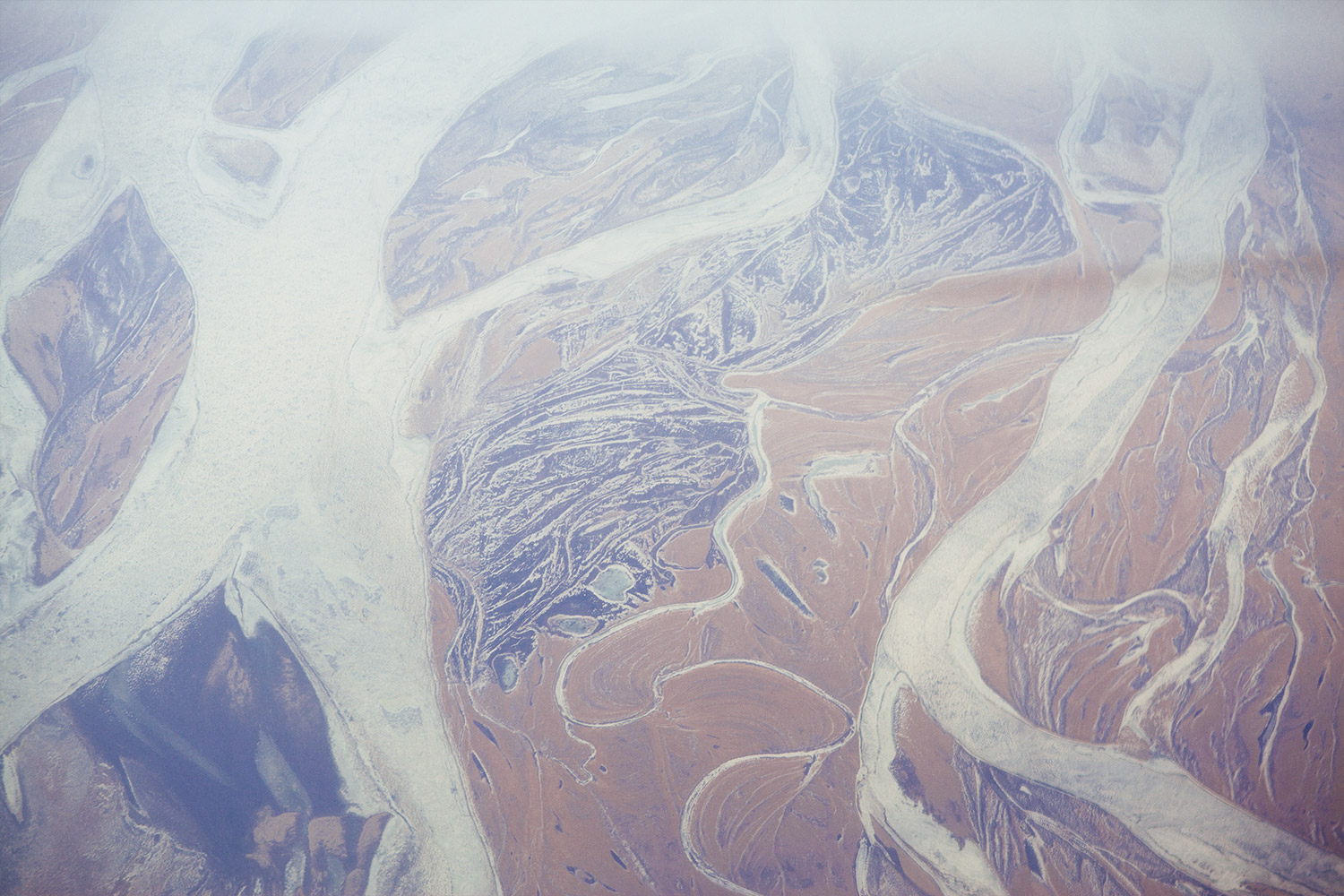 we are guests photography