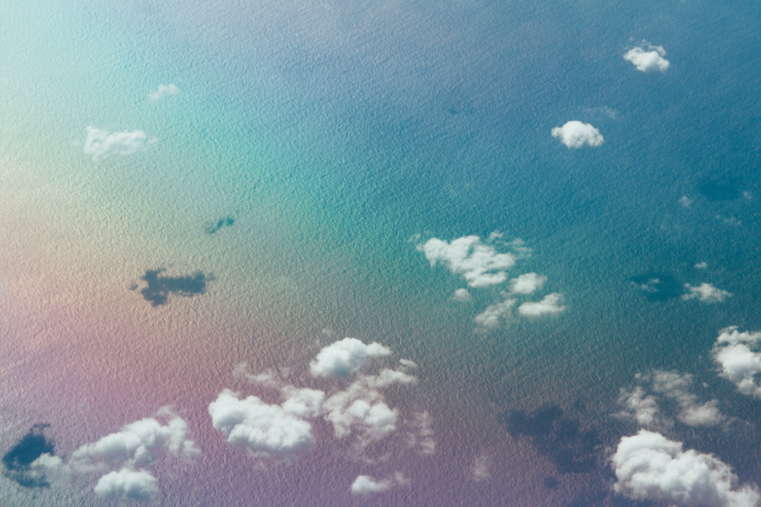 we are guests photography